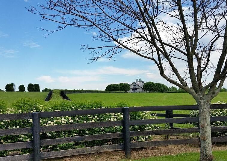 #32. Kentucky